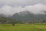 Laos