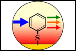 Surface Enhanced Raman Spectroscopy