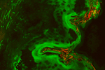 Characterization of optical properties of ZnO nanoparticles for quantitative imaging of transdermal transport