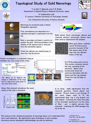 Topological Study of Gold Nanorings