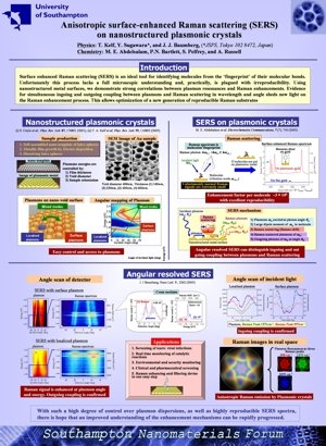 Anisotropic surface-enhanced Raman scattering (SERS) on nanostructured plasmonic crystals