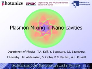 1. Plasmon Mixing in Nano-cavities