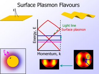 3. Surface Plasmon Flavours