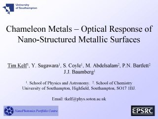 1. Chameleon Metals - Optical Response of Nano-Structured Metallic Surfaces