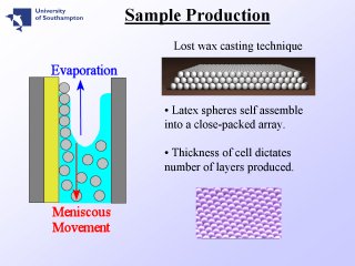 4. Sample Production