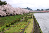 3. Spring in Kakunodate