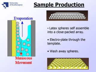 4. Sample Production