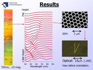 6. Results