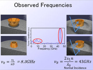 9. Observed Frequencies