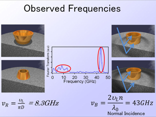 12. Observed Frequencies