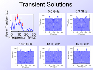 16. Transient Solutions