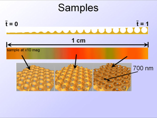 23. Samples