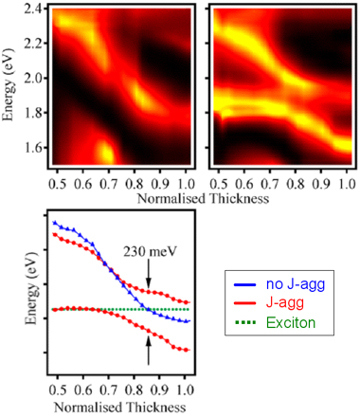 Plasmon - Exciton interactions