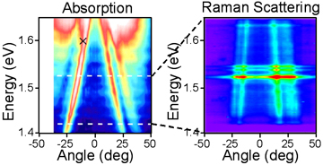 Plasmon absorption and SERS signal