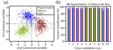 Image showing discriminant analysis results of the genetic algorithm