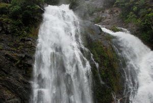 Kuranda Railway.JPG