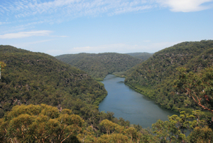 Berowra