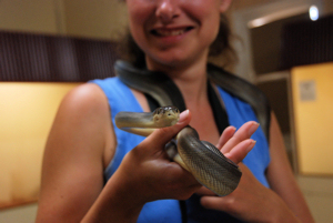 Alice Springs Reptile centre