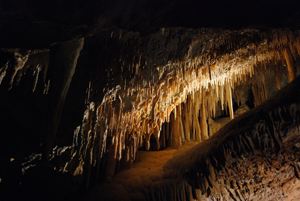 Jenolan Caves