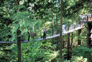 Capilano