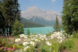 Emerald Lake