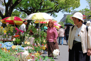 Kochi Market