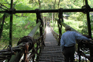 Nishi IyaVine Bridge