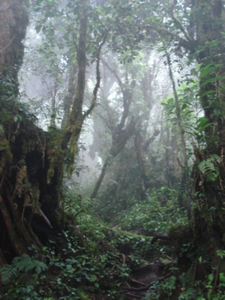 Gunung Perdah, Cameron Highlands