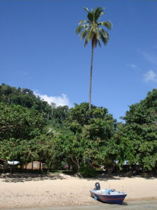 Tioman Island