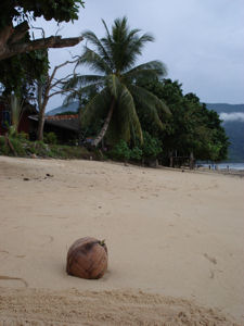 Tioman Island