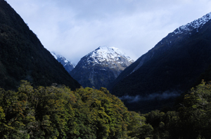 Milford Sound