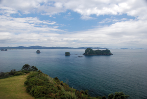 Coromandel