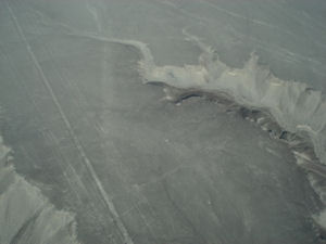 Humming Bird, Nazca