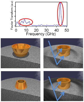 Gold Nano Ring Oscillations